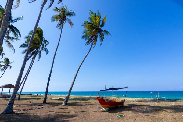Où pratiquer le snorkeling au milieu des raies manta à Hawaii ?
